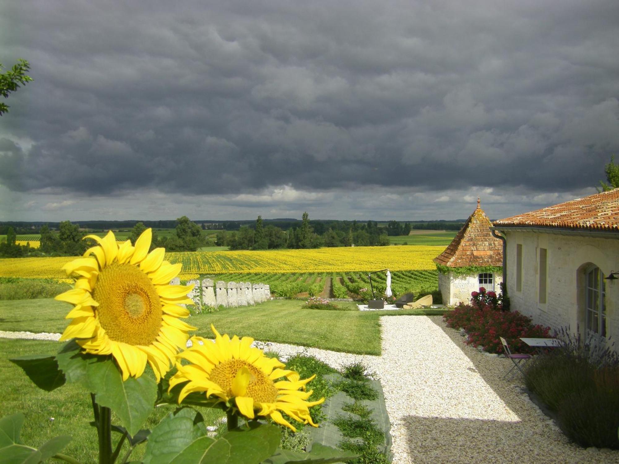 Chambre D'Hotes Clos Des Pierres Blanches Brie-sous-Archiac Exteriér fotografie